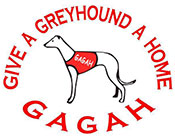 gagah logo