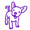 darwing of cartoon dog